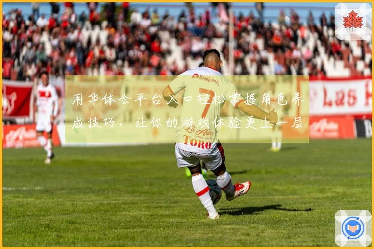 用华体会平台入口轻松掌握角色养成技巧，让你的游戏体验更上一层楼!