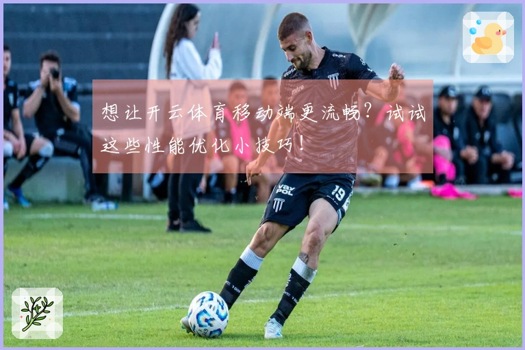 想让开云体育移动端更流畅？试试这些性能优化小技巧！
